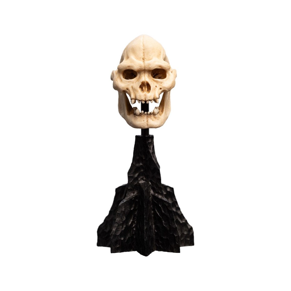 Weta - The Lord of the Rings - Skull of Lurtz - LOTR