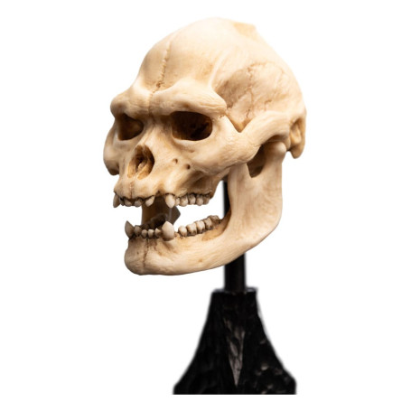 Weta - The Lord of the Rings - Skull of Lurtz - LOTR