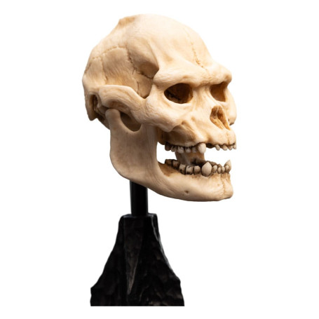 Weta - The Lord of the Rings - Skull of Lurtz - LOTR