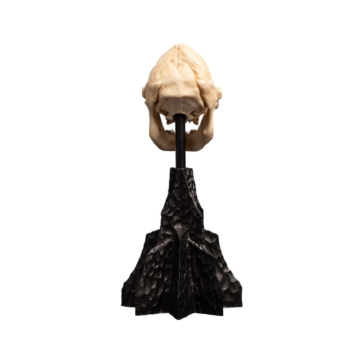 Weta - The Lord of the Rings - Skull of Lurtz - LOTR