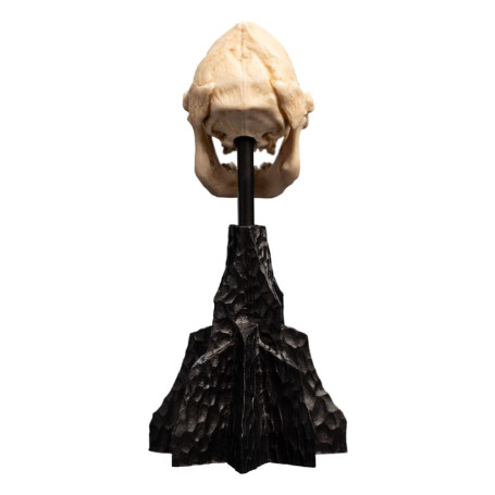 Weta - The Lord of the Rings - Skull of Lurtz - LOTR