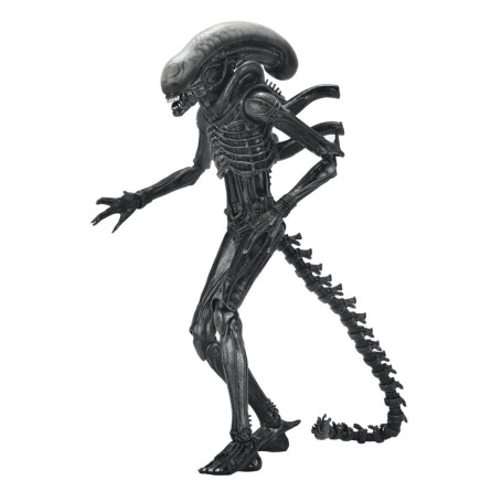 Neca - Alien: Romulus Ultimate Xenomorph XX121