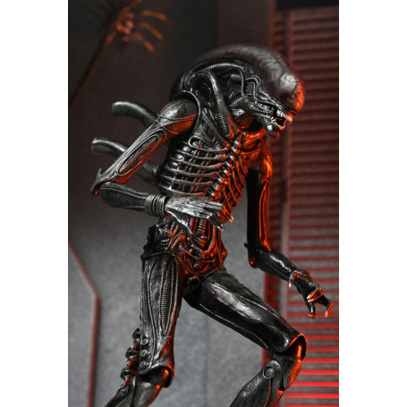 Neca - Alien: Romulus Ultimate Xenomorph XX121