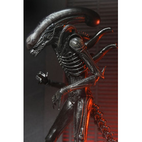 Neca - Alien: Romulus Ultimate Xenomorph XX121