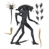 Neca - Alien: Romulus Ultimate Xenomorph XX121