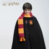 INART - Harry Potter 1/6 Scale Collectible Figure - Standard Version
