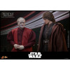 Hot Toys Star Wars figure 1/6 Darth Nihilus 31 cm
