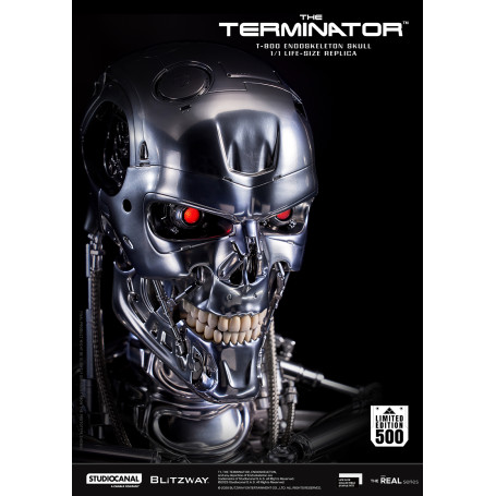 Blitzway - T800 Endoskeleton Skull 1/1 Life Size - The Terminator