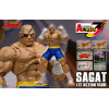 Storm Collectibles - SAGAT - Street Fighter Alpha Storm Arena 1/12