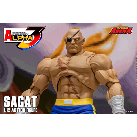 Storm Collectibles - SAGAT - Street Fighter Alpha Storm Arena 1/12