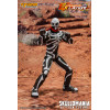 Storm Collectibles - SKULLOMANIA - FIGHTING EX LAYER