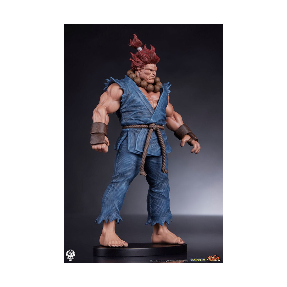 PCS - Street Fighter: Street Jam - Akuma & Dhalsim 1:10 Scale Statue Set