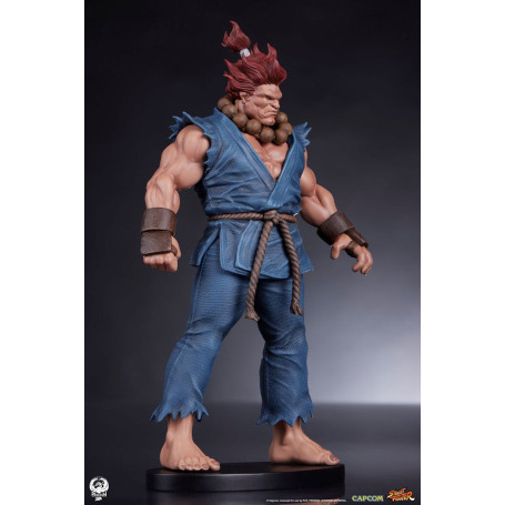PCS - Street Fighter: Street Jam - Akuma & Dhalsim 1:10 Scale Statue Set