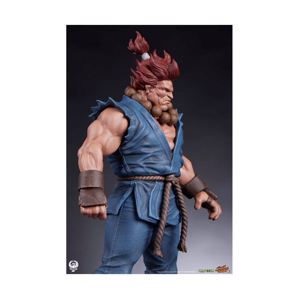 PCS - Street Fighter: Street Jam - Akuma & Dhalsim 1:10 Scale Statue Set