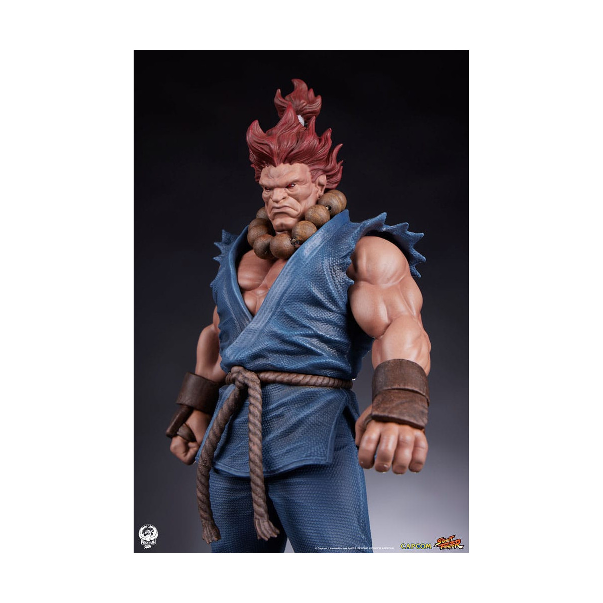 PCS - Street Fighter: Street Jam - Akuma & Dhalsim 1:10 Scale Statue Set