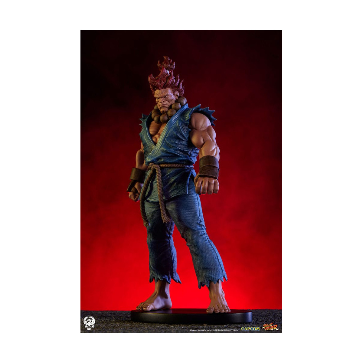 PCS - Street Fighter: Street Jam - Akuma & Dhalsim 1:10 Scale Statue Set