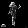 Marvel Legends - Marvel Gamerverse - Black Cat Felicia Hardy