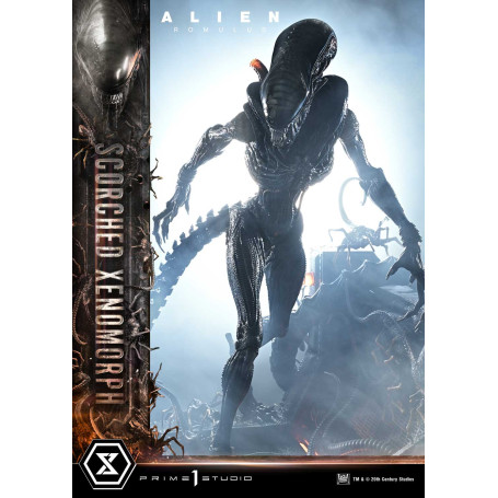 Prime 1 Studio - Scorched Xenomorph DX Bonus Version 1/3 - Alien: Romulus Museum Masterline XL