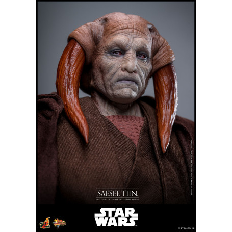 Hot Toys Star Wars - Saesee Tiin MMS1/6 - Revenge of the Sith