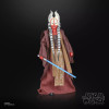 Star Wars The Black Series - Shaak Ti - Attack of the Clones