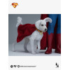 INART - Superman 1/6 Scale Collectible Figure - Superman (2025)