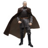 Star Wars Black Series - Count Dooku - Revenge of the Sith 20th Anniversary