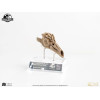 ECC Elite Creature Collectibles - Jurassic Park 3 Velociraptor Resonance Chamber 1/1