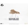 ECC Elite Creature Collectibles - Jurassic Park 3 Velociraptor Resonance Chamber 1/1