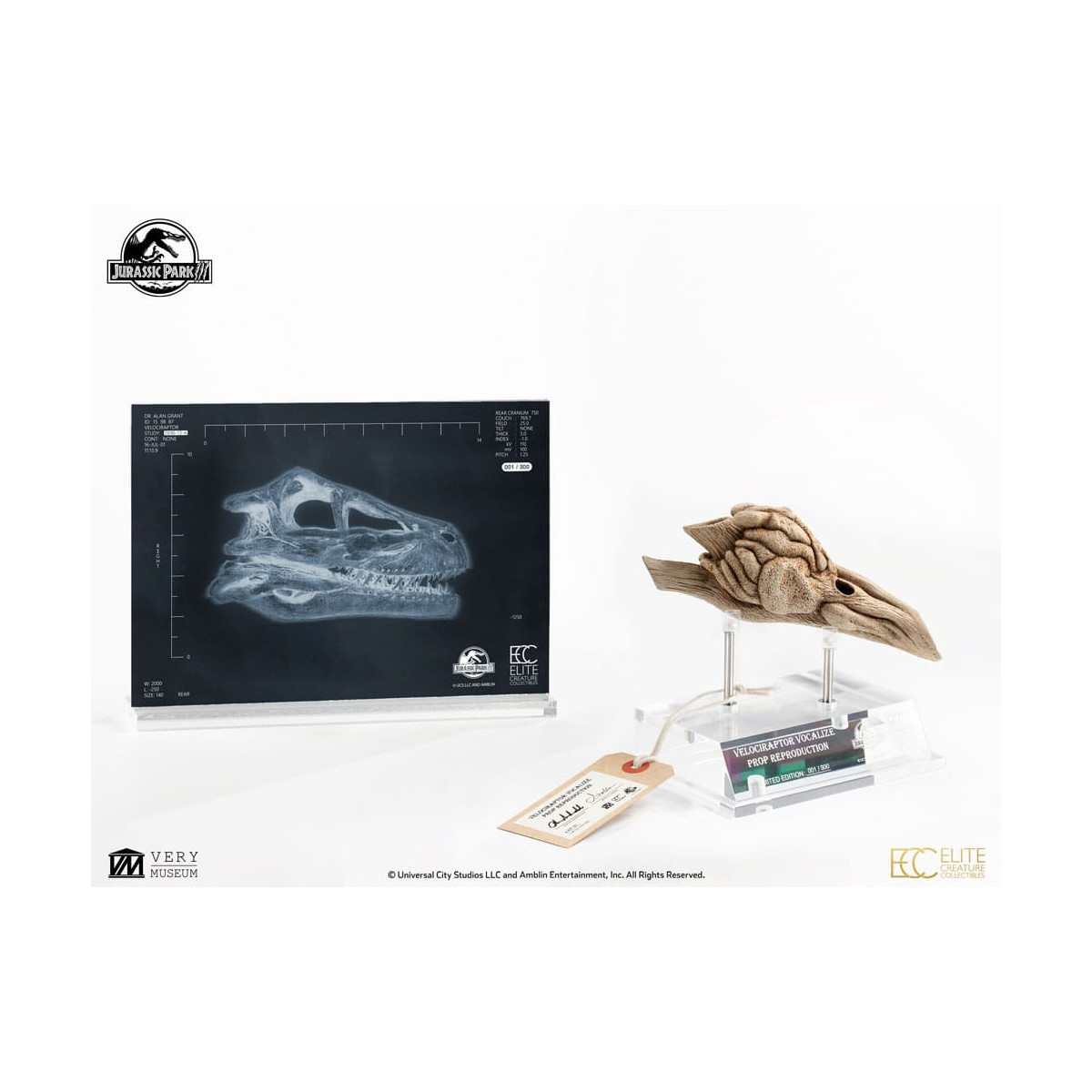 ECC Elite Creature Collectibles - Jurassic Park 3 Velociraptor Resonance Chamber 1/1