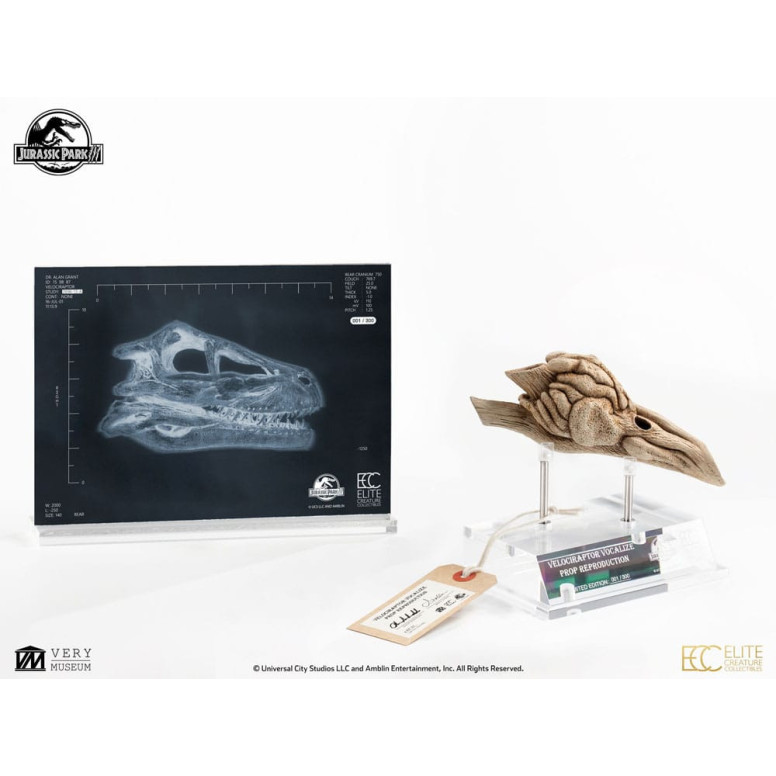 ECC Elite Creature Collectibles - Jurassic Park 3 Velociraptor Resonance Chamber 1/1