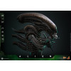 Hot Toys - Alien - Big Chap v2 MMS 1/6