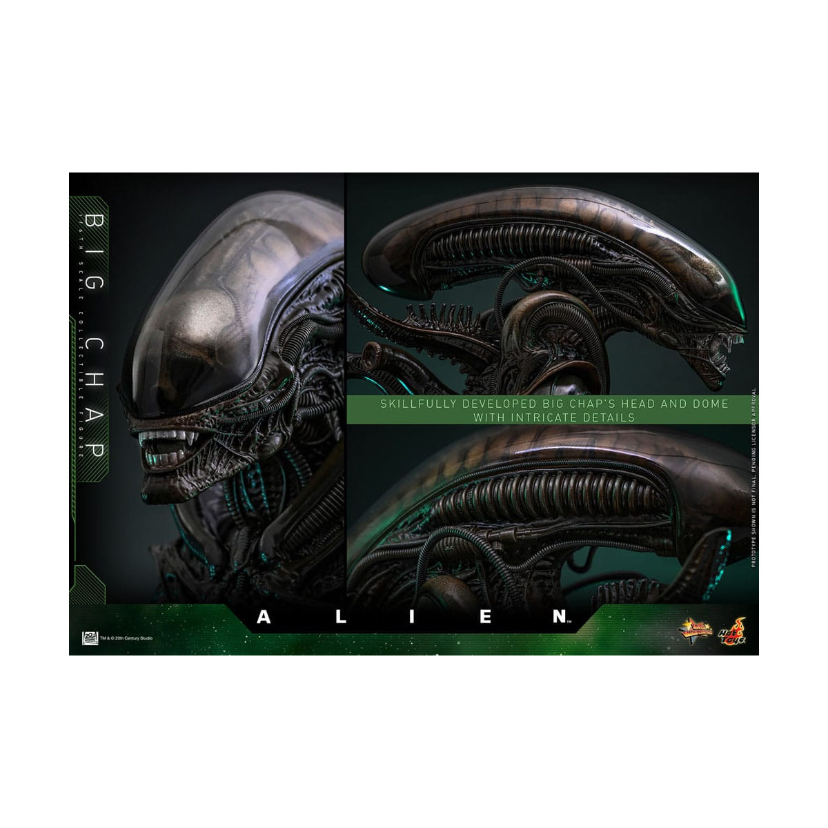 Hot Toys - Alien - Big Chap v2 MMS 1/6
