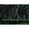 Hot Toys - Alien - Big Chap v2 MMS 1/6