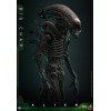Hot Toys - Alien - Big Chap v2 MMS 1/6