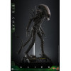 Hot Toys - Alien - Big Chap v2 MMS 1/6