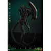 Hot Toys - Alien - Big Chap v2 MMS 1/6