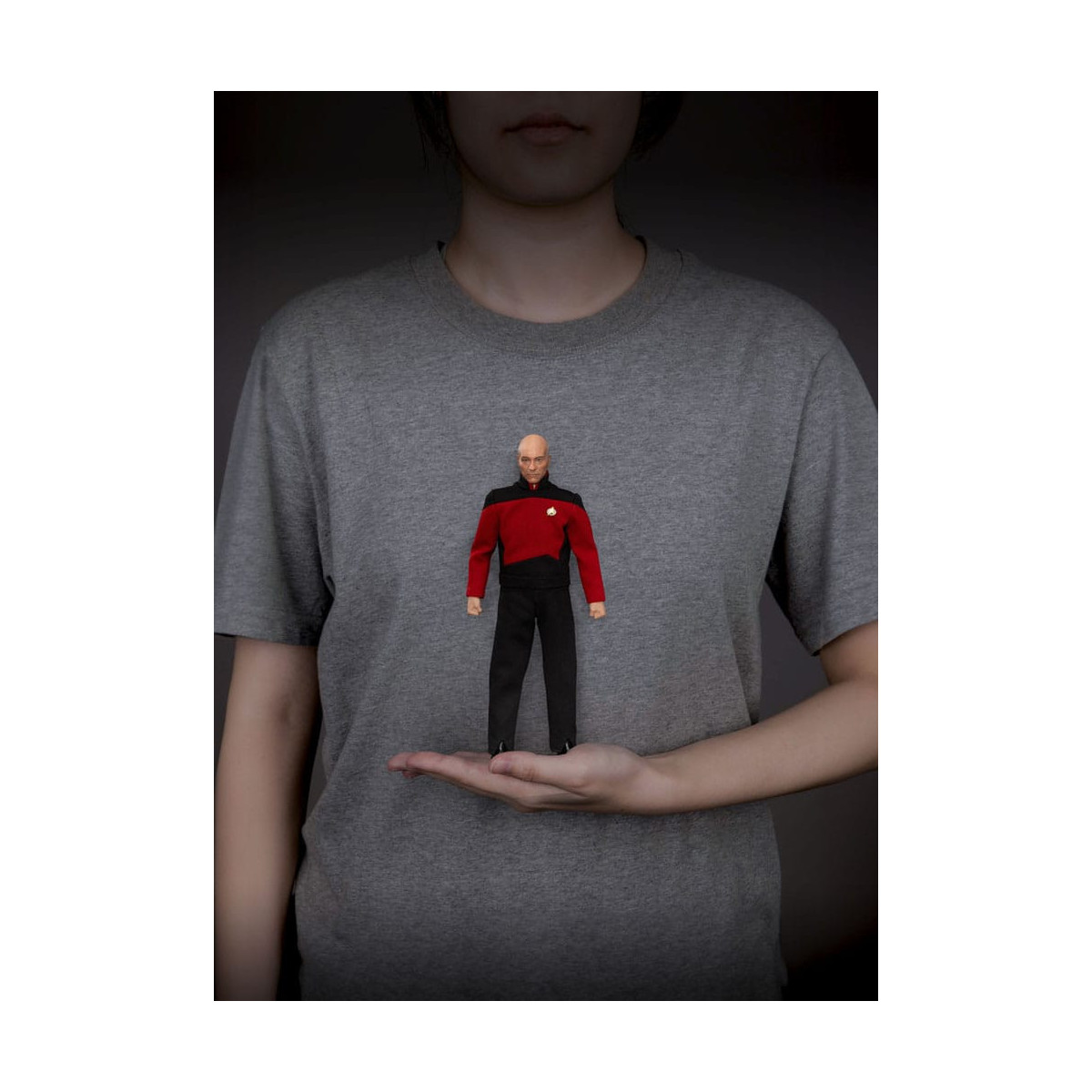 Beast Kingdom - Star Trek: Generations - Jean-Luc Picard Dynamic Action Heroes 1/9
