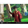 Prime 1 Studio Harry Potter - Prime Collectibles 1/6 Harry Potter Quidditch Edition