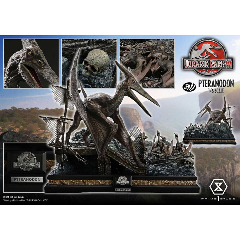 Prime 1 Studio - Jurassic Park III - Pteranodon Legacy Museum Collection 1/6