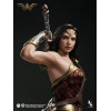 INART - Wonder Woman 1/6 Scale Collectible Figure - Batman vs Superman