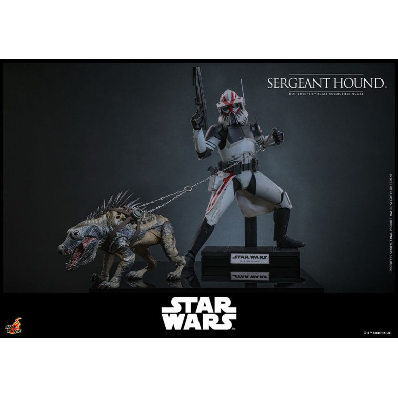 Hot Toys Star Wars - Sergeant Hound - The Clone Wars 1/6
