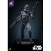 Hot Toys Star Wars - Elite Squad Trooper 1/6 - The Bad Batch Hot Toys Exclusive TMS150