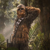 Iron Studios Star Wars - Chewbacca and Tokkat Art Scale 1/10 - Return of the Jedi