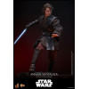 Hot toys Star Wars: Anakin Skywalker MMS839 1/6 - Episode III: Revenge of the Sith