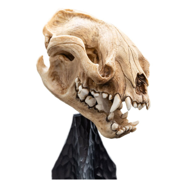 Weta - The Lord of the Rings - Skull of Warg - LOTR