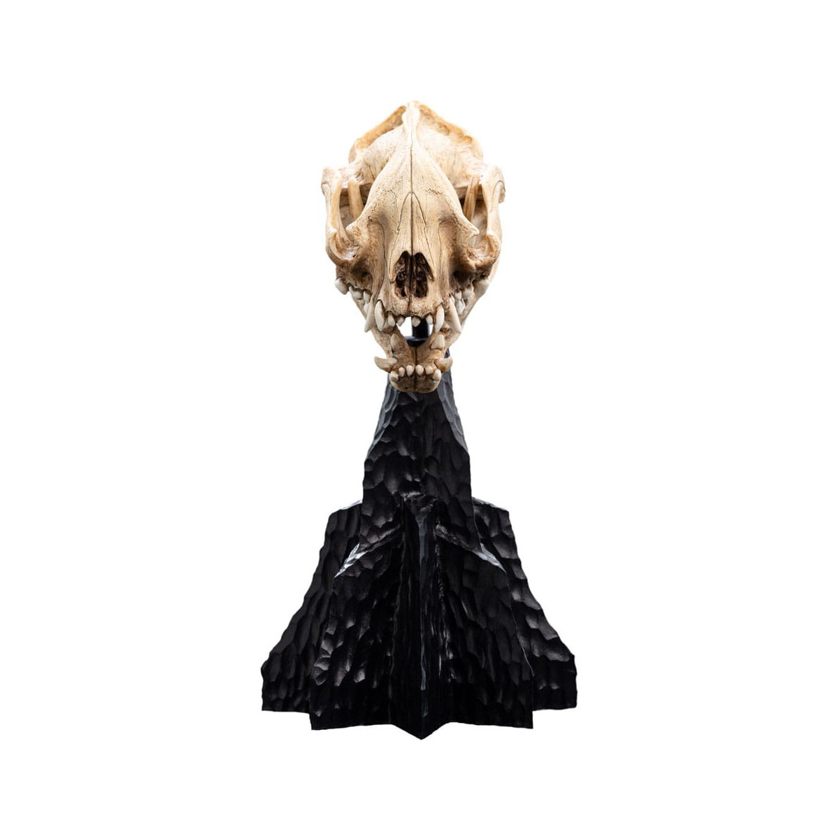 Weta - The Lord of the Rings - Skull of Warg - LOTR