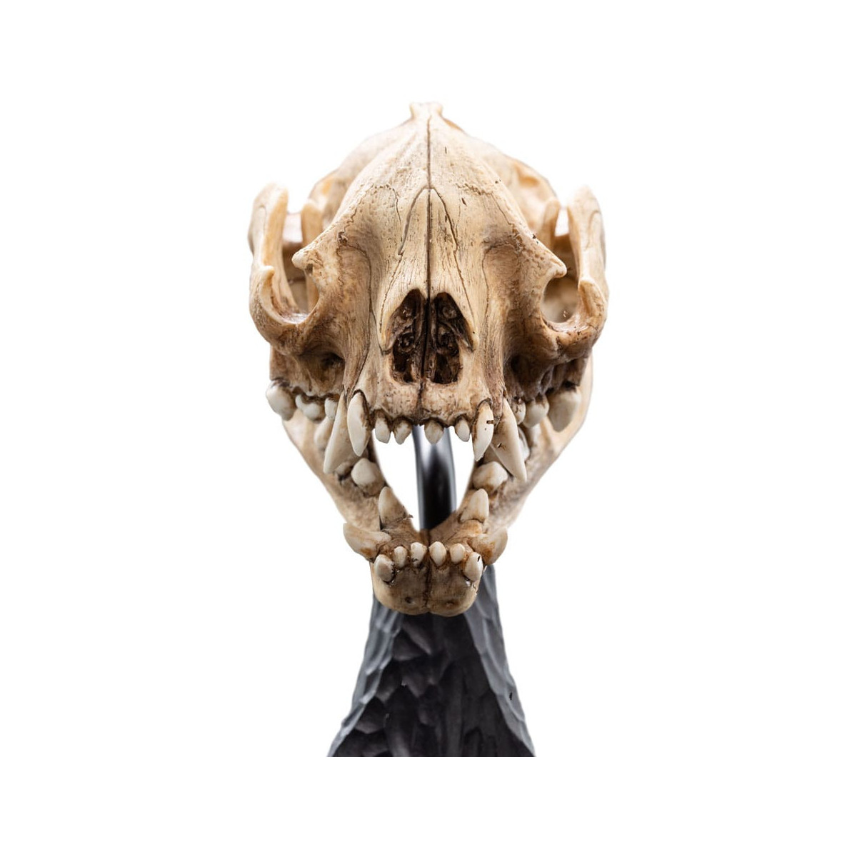 Weta - The Lord of the Rings - Skull of Warg - LOTR