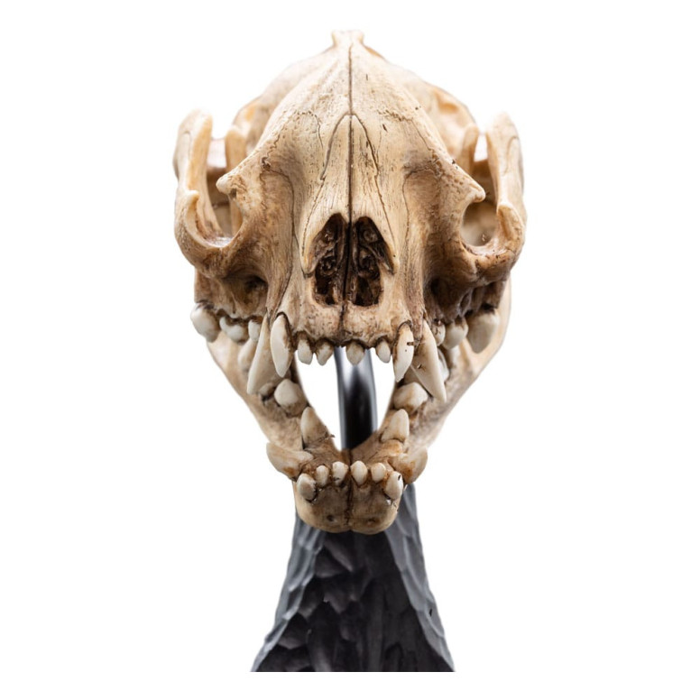 Weta - The Lord of the Rings - Skull of Warg - LOTR