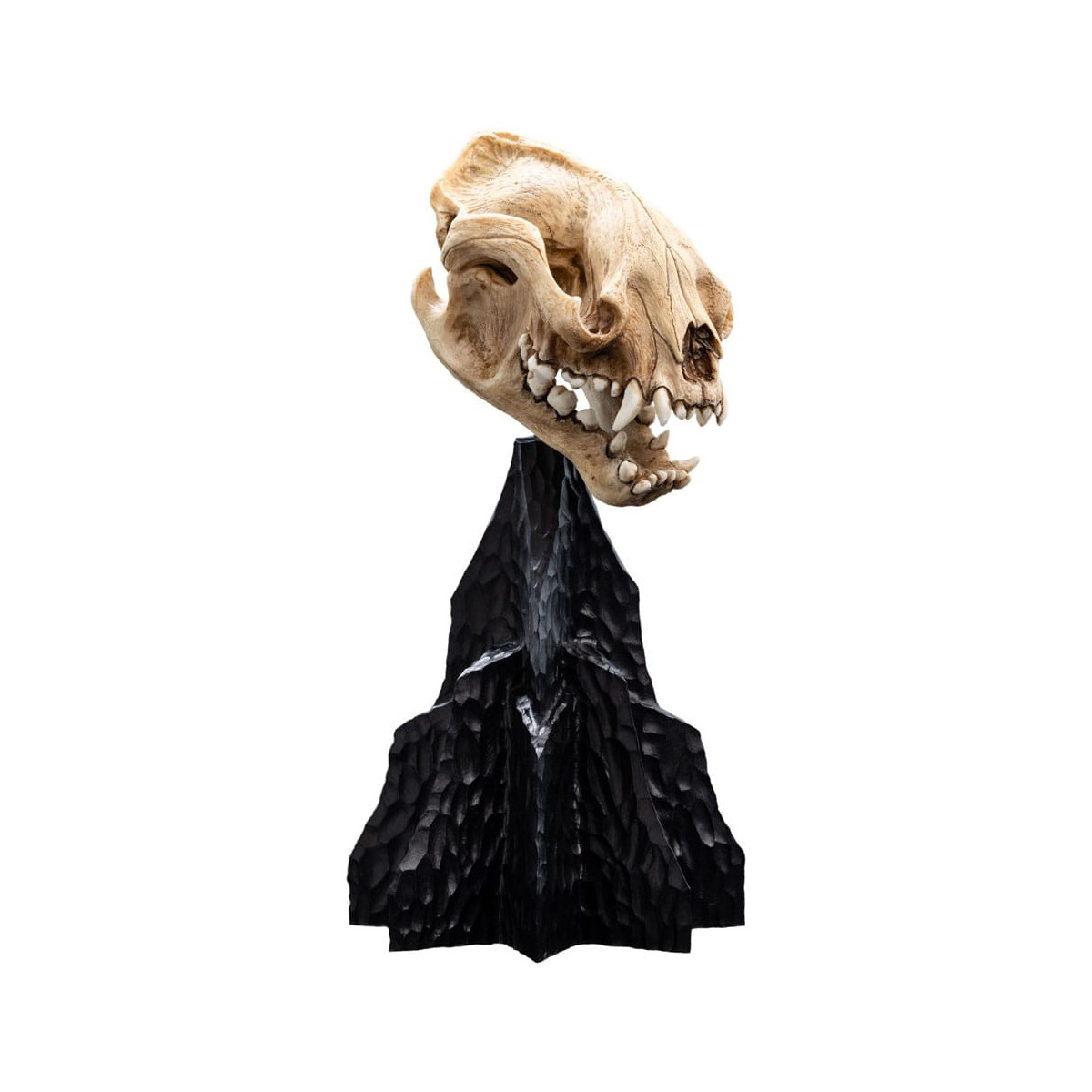 Weta - The Lord of the Rings - Skull of Warg - LOTR