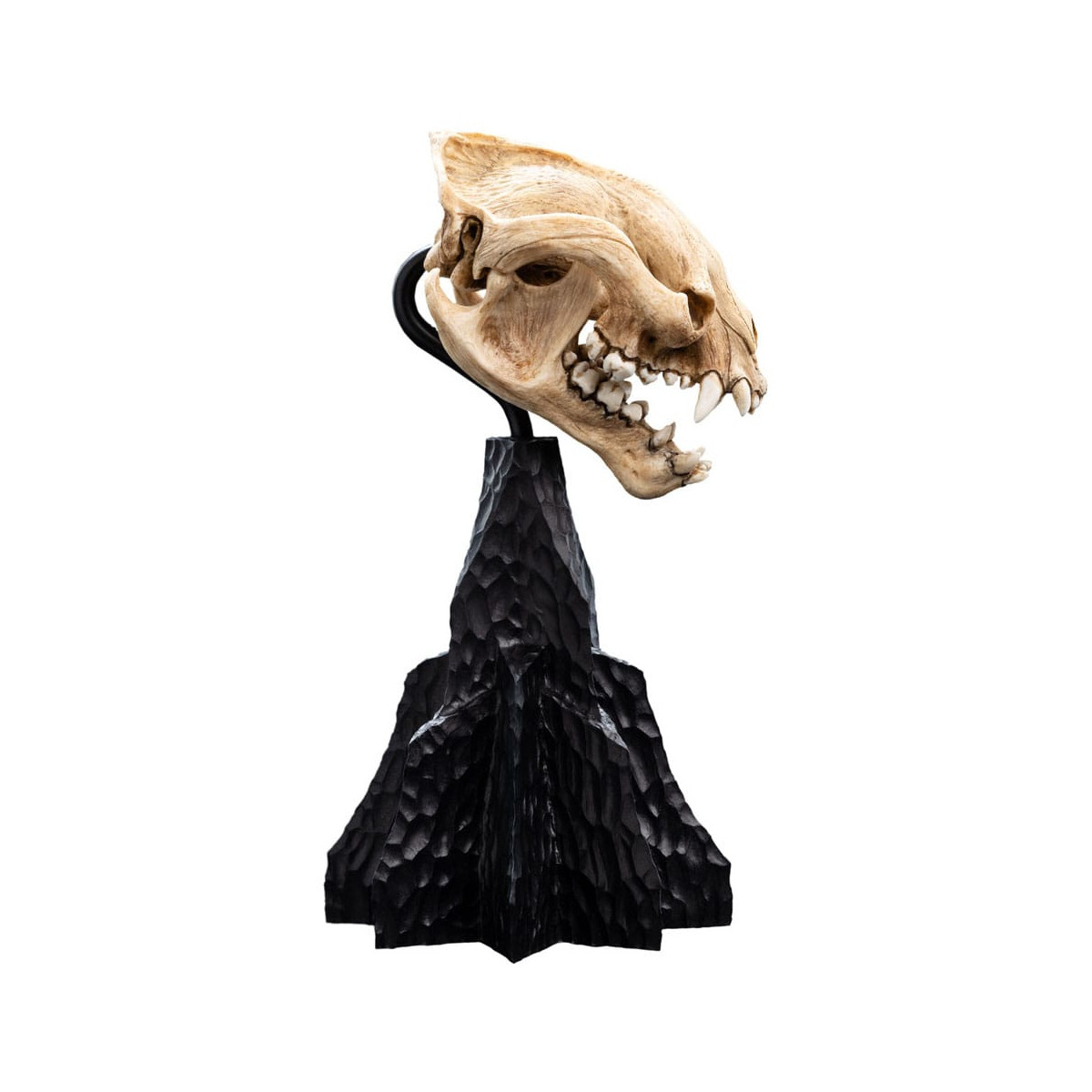 Weta - The Lord of the Rings - Skull of Warg - LOTR